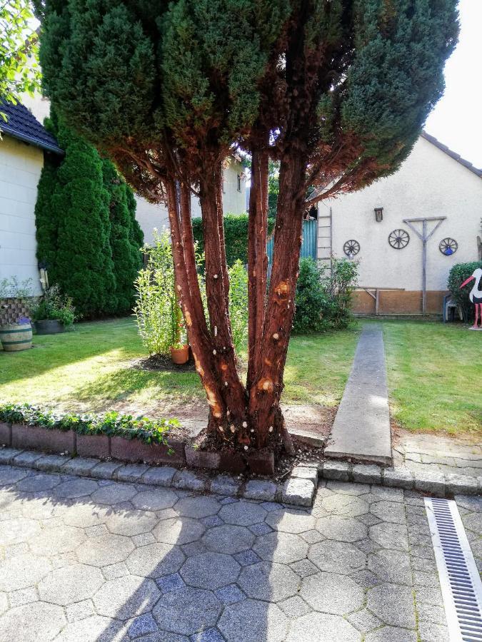 Ferienappartement Obrigheim Mosbach  Exterior foto