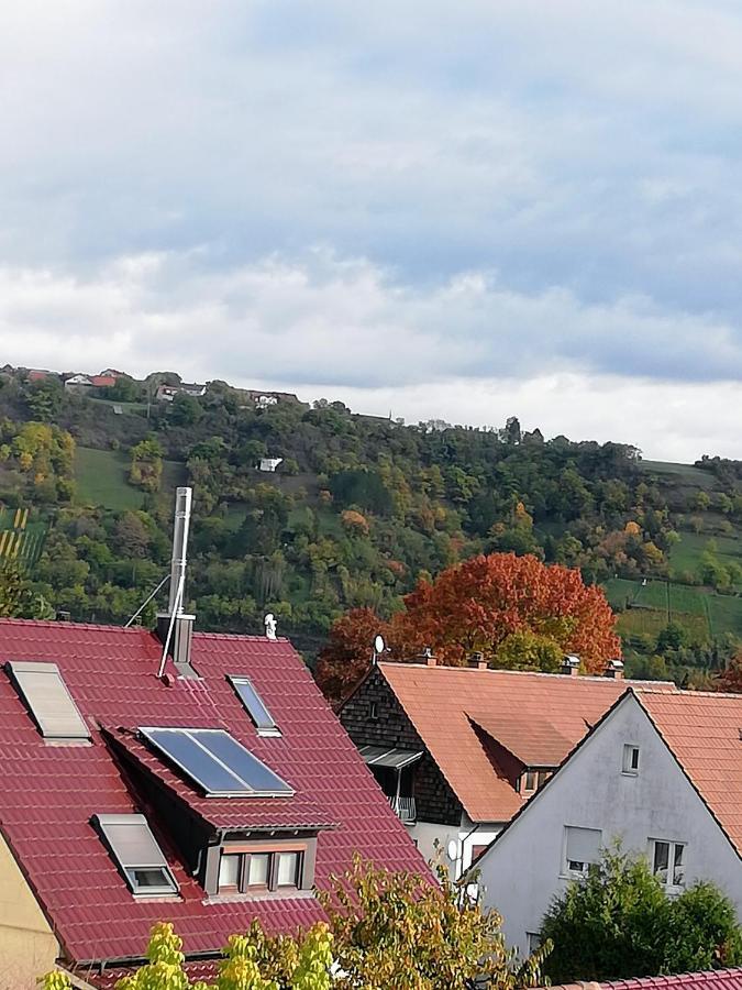 Ferienappartement Obrigheim Mosbach  Exterior foto